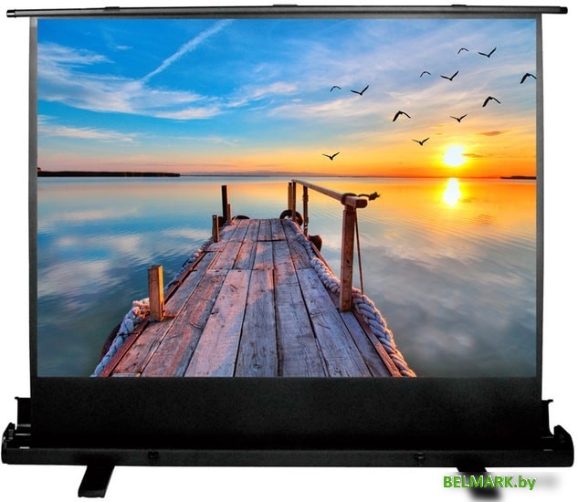 Проекционный экран CACTUS FloorExpert 113x200 CS-PSFLE-200х113 - фото