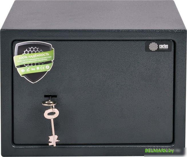 Мебельный сейф CACTUS CS-SF-K25 - фото2
