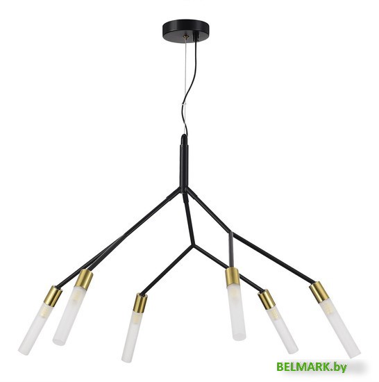 Подвесная люстра Evoluce SLE1129-403-06 - фото2