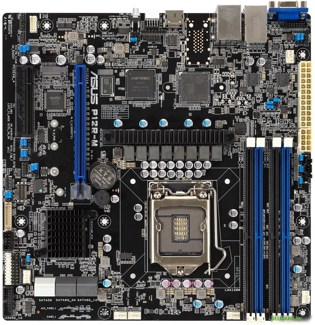 Материнская плата ASUS P12R-M - фото