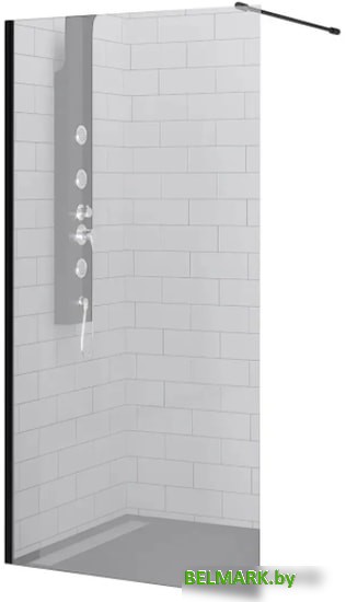 Душевая стенка RGW WA-010B 100 (черный/матовое стекло) - фото
