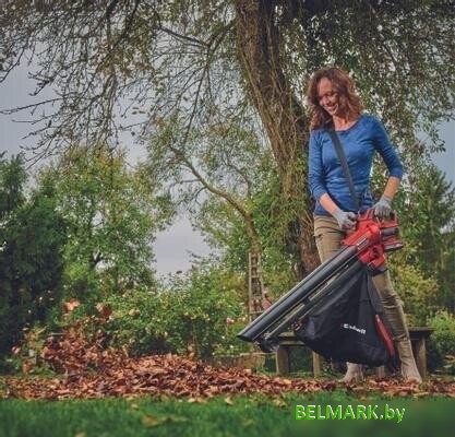 Колесная воздуходувка Einhell Venturro 18/210 3433625 (без АКБ) - фото2