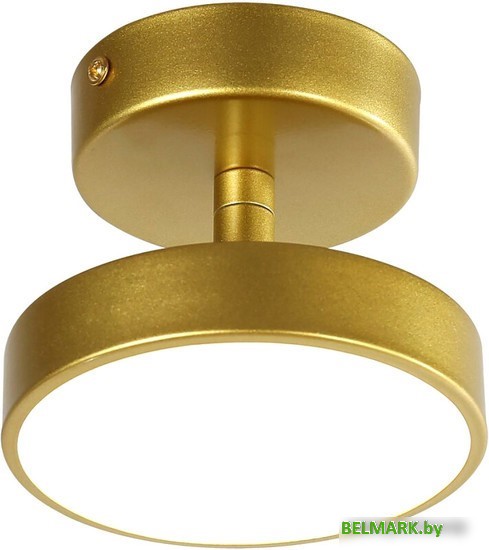 Припотолочная люстра Favourite 3059-1P - фото