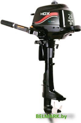 Лодочный мотор HDX F 2.6 BMS - фото