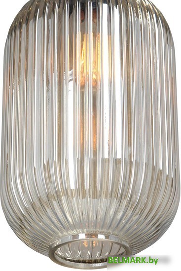 Подвесная люстра Vitaluce V4842-1/1S - фото2