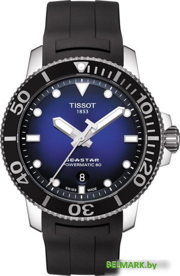 Наручные часы Tissot Seastar 1000 Powermatic 80 T120.407.17.041.00 - фото