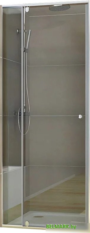 Душевая дверь Veconi VN26 VN26-90-01-C8 (стекло прозрачное) - фото