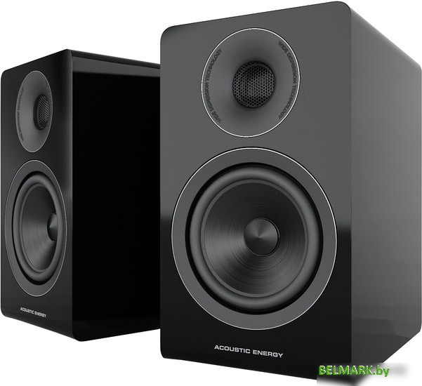Акустика Acoustic Energy AE300 (черный) - фото