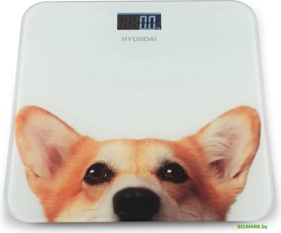 Напольные весы Hyundai H-BS03671 - фото2