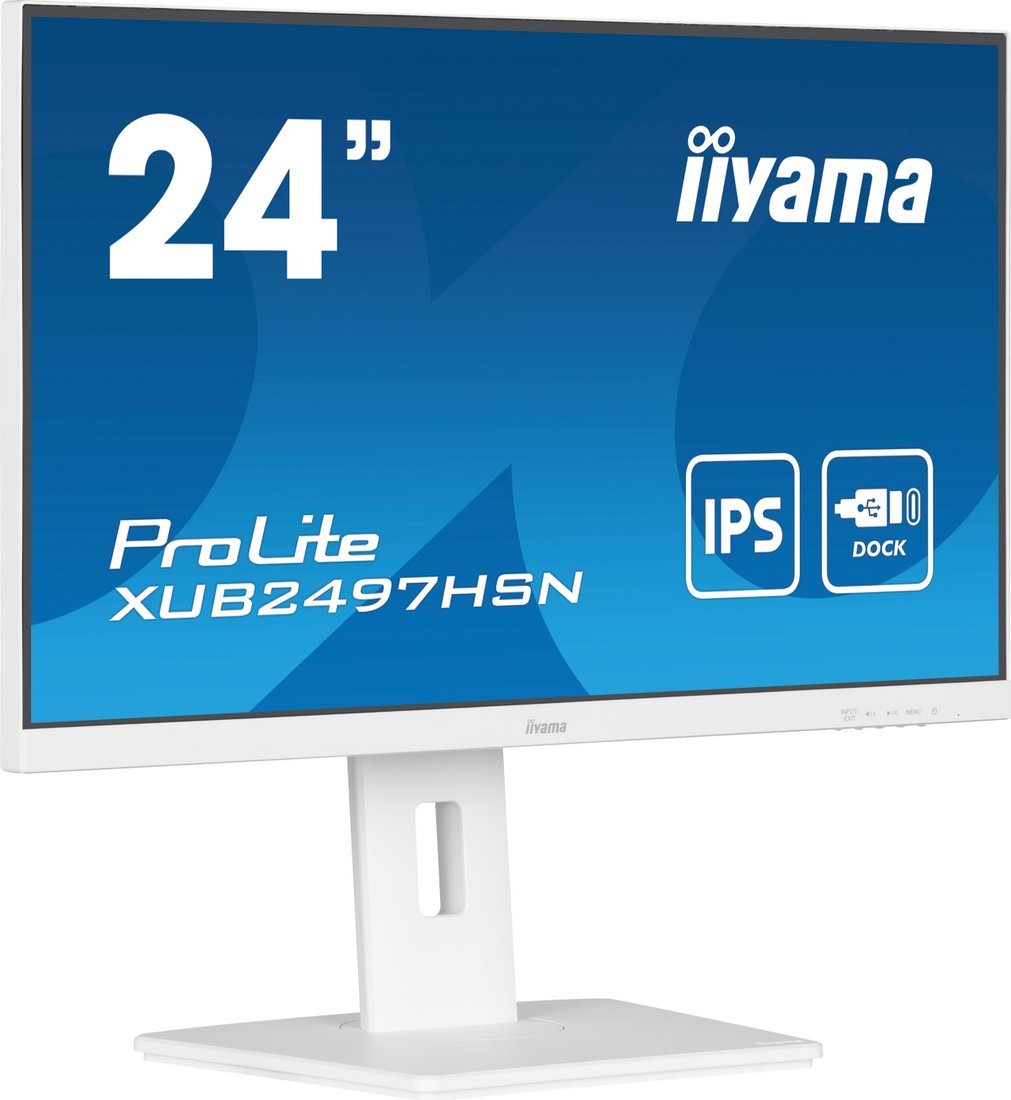 Монитор Iiyama ProLite XUB2497HSN-W1 - фото2