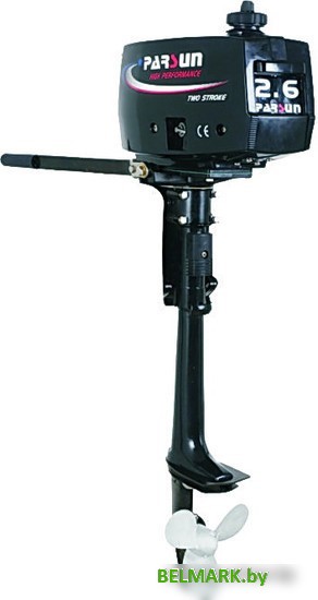 Лодочный мотор Parsun T2.6 BMS - фото