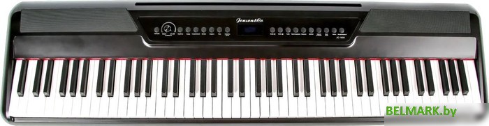 Цифровое пианино Jonson&Co JC-1800 BK - фото