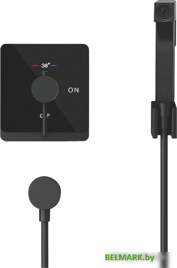 Гигиенический душ Rose R105H - фото