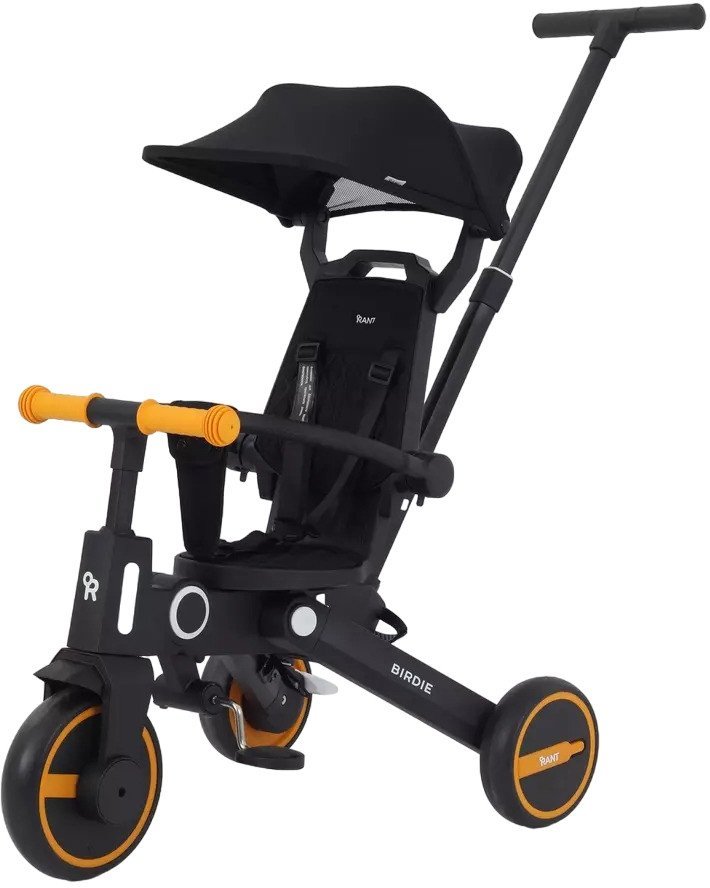 Детский велосипед Rant Birdie RB202 (графит) - фото