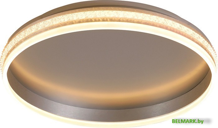 Припотолочная люстра Feron Shinning Ring AL5880 41695 - фото