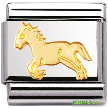 NominatioN Лошадь 030112/09 - фото
