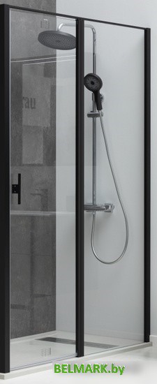 Душевая дверь Allen Brau Priority 3.31006.BBA - фото