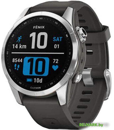 Умные часы Garmin Fenix 7S 42 мм (серебристый/графитовый) - фото