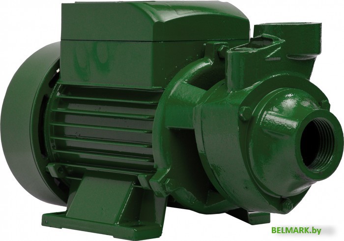 Самовсасывающий насос Oasis P-750V - фото