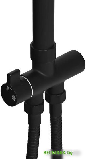 Душевая система Wisent WP3500BL - фото2