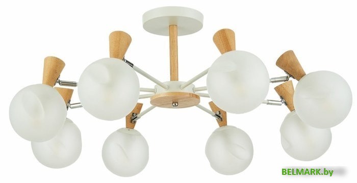 Люстра средней высоты Evoluce Catania SLE220702-08 - фото2