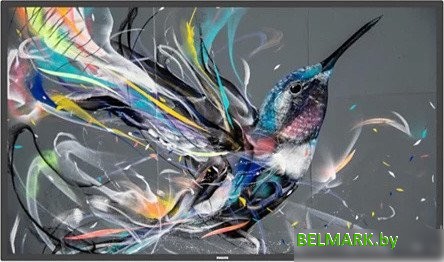 Информационная панель Philips 55BDL3511Q/00 - фото