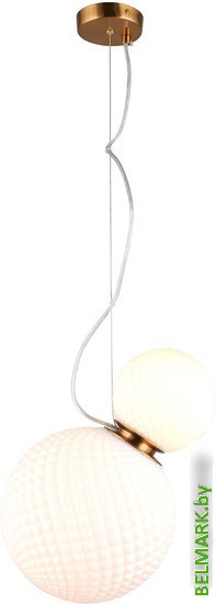 Люстра средней высоты Aployt Patunia APL.301.06.02 - фото