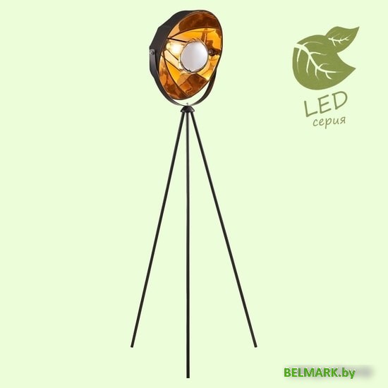 Торшер Lussole Lgo GRLSP-0556 - фото