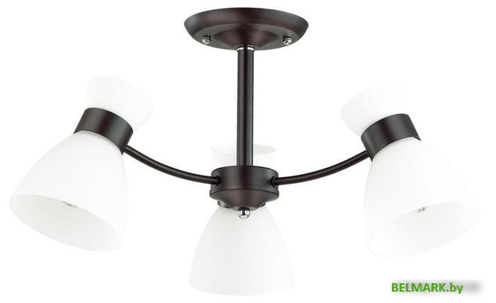 Припотолочная люстра Lumion Wilma 4534/3C - фото2