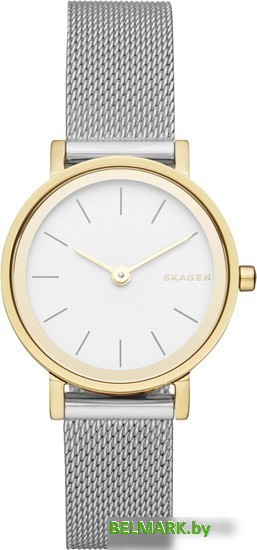Наручные часы Skagen SKW2445 - фото