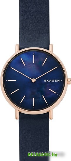 Наручные часы Skagen SKW2731 - фото