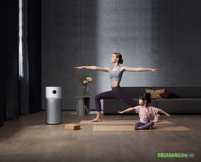 Очиститель воздуха Xiaomi Smart Air Purifier Elite Y-600 (европейская версия) - фото2