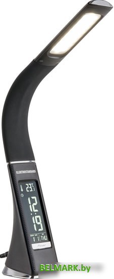 Лампа Elektrostandard Elara TL90220 (черный) - фото