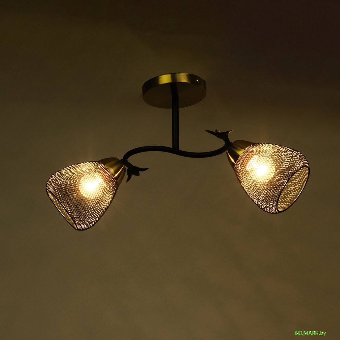 Подвесная люстра BayerLux Дассе 10385903 (черный/бронза) - фото2