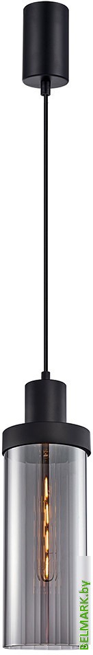 Подвесная люстра F-Promo 4364-1P - фото