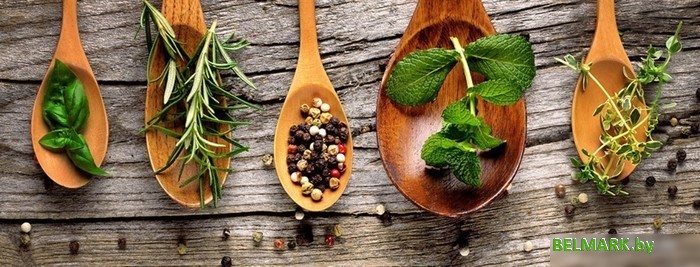 Картина на стекле Orlix Специи в деревянных ложках GL-00883 30x80 - фото