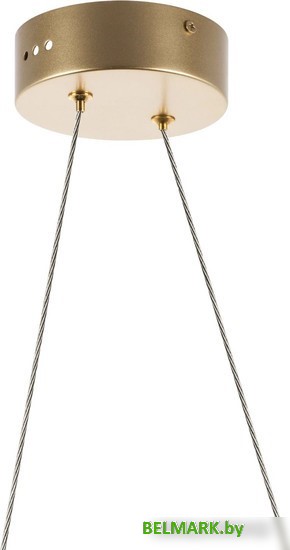 Припотолочная люстра Lightstar Varese 731313 - фото2