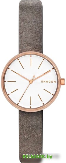 Наручные часы Skagen SKW2644 - фото