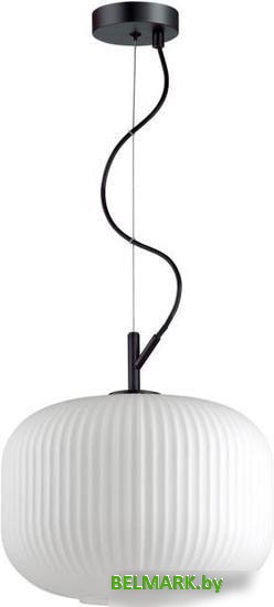 Подвесная люстра Odeon Light Roofi 4754/1 - фото