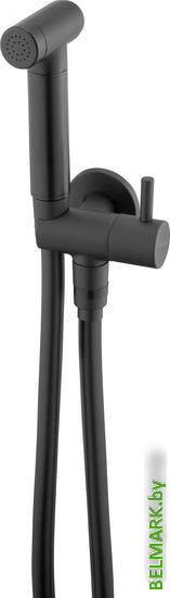 Гигиенический душ Deante Bidetta Nero ANW N51B - фото