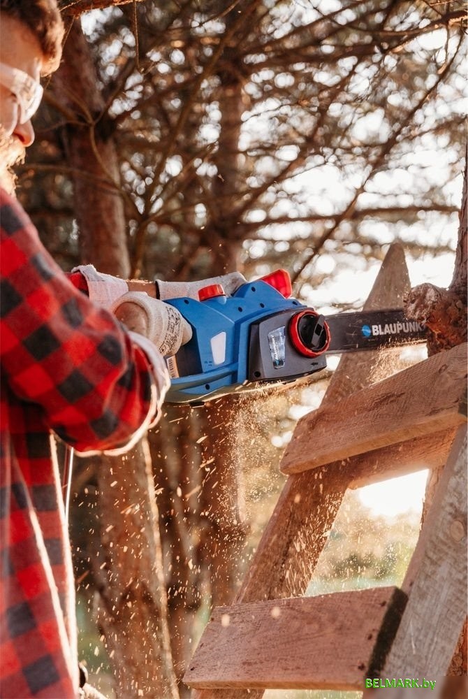 Электрическая пила Blaupunkt CS3010 - фото2