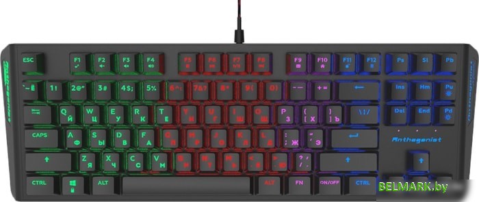 Клавиатура Ritmix RKB-500 Anthagonist - фото