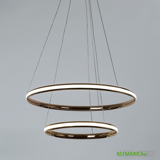 Подвесная люстра Arte Lamp Meridiana A2198SP-2GO - фото2