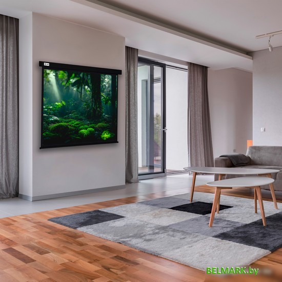 Проекционный экран CACTUS Wallscreen 213x213 CS-PSW-213X213-BK - фото2
