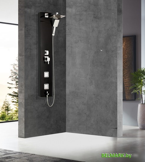 Душевая панель WeltWasser WW GL 14251 BL - фото2