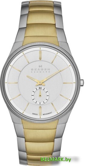 Наручные часы Skagen SKW6060 - фото