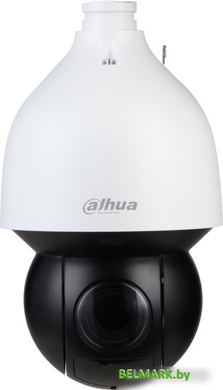 IP-камера Dahua DH-SD5A425GA-HNR - фото