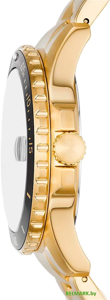 Наручные часы Fossil FS6035 - фото2