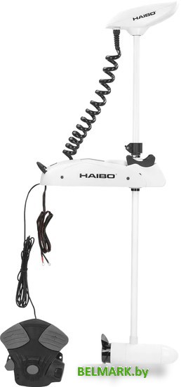 Лодочный мотор Haibo iPenguin P65 GPS - фото