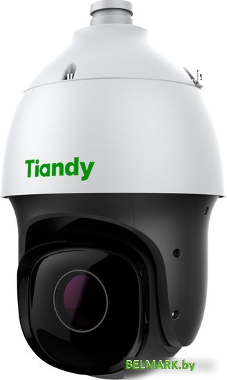 IP-камера Tiandy TC-H326S 33X/I/E++/A - фото